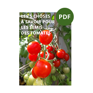 Couverture d'un PDF intitulé 'Les 5 choses à savoir pour les semis des tomates', avec une image de tomates rouges sur des plants.